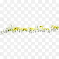 黄色春日风景花朵