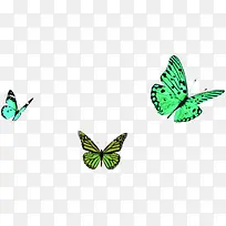 绿色荧光蝴蝶背景