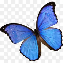 创意合成飞舞的蓝色荧光蝴蝶