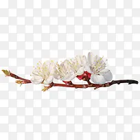 一枝梅花