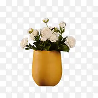 黄色花瓶白玫瑰