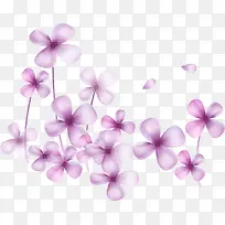 紫色小花装饰物