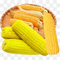 黄色干玉米老玉米