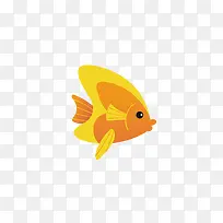 金鱼