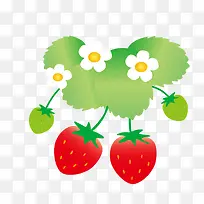 卡通手绘草莓花朵绿叶