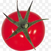 大红色番茄