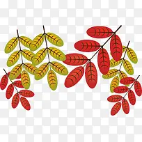 红色秋天的落叶