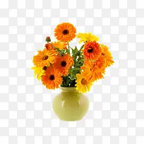 金盏花和花瓶