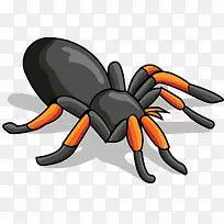 黑色多脚扁平蜘蛛