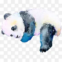 卡通手绘彩色的熊猫