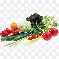 新鲜蔬菜