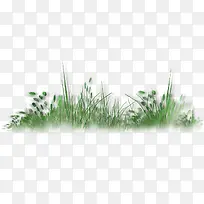 绿色草丛植物装饰图案