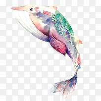 鲸鱼花纹素材图片