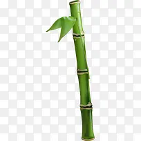 简约绿色竹子竹节