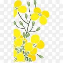 扁平风格黄色矢量油菜花