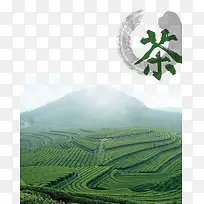 茶山