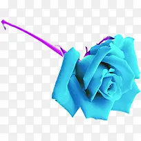 蓝色卡通唯美多层玫瑰花朵