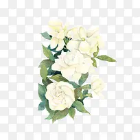 彩绘白色花卉装饰图