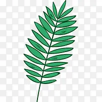绿色热带植物叶子矢量图