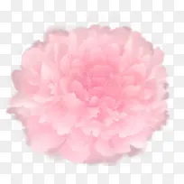 粉红色的花卉水墨风格水彩渲染