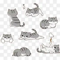 猫咪的不同姿势