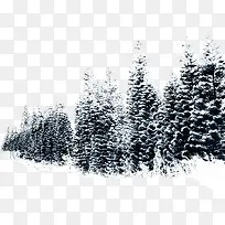 雪树树枝大树雪地