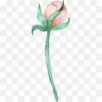 一枝花