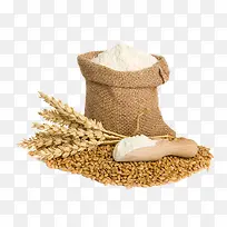 小麦跟面粉