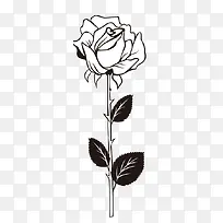 一枝花简图