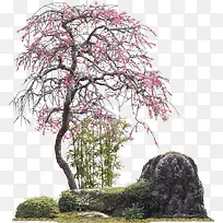 假山粉色花朵树木