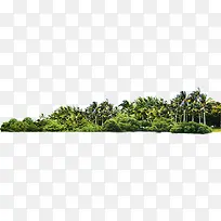 椰树海岛风光美景