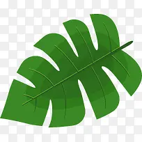 绿色棕榈叶植物图