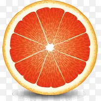 矢量手绘橙子柚子