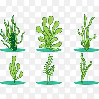 绿色海草植物合集