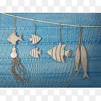 渔网与鱼