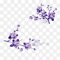 紫色花朵在枝条上盛开