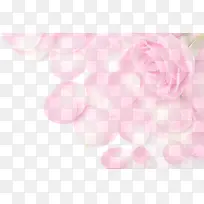 淡粉色玫瑰海报背景七夕情人节