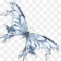 水滴蝴蝶