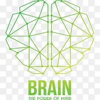 渐变绿色大脑结构