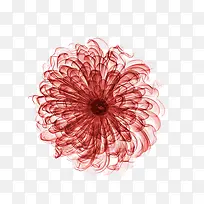 红色菊花装饰图片