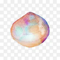 手绘水彩彩色贝壳