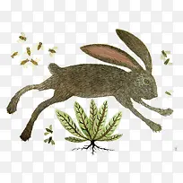 复古手绘卡通兔子