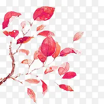 红色水彩树叶