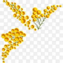 黄色精美小花
