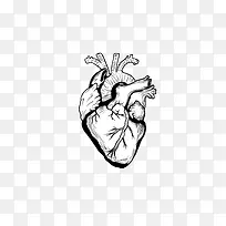 精致黑色手绘心脏血管矢量图