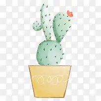 手绘装饰仙人掌植物盆栽
