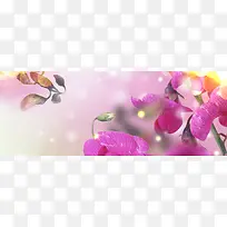 香水紫色花卉背景banner