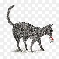 黑色猫咪