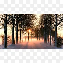 冬季夕阳迷雾森林小路海报背景