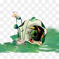 荷花